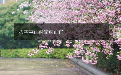 八字中正财偏财正官