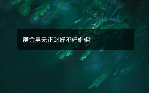 庚金男无正财好不好婚姻