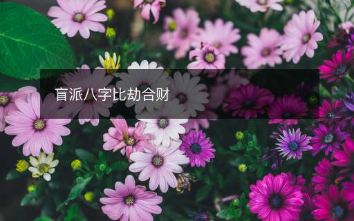 盲派八字比劫合财
