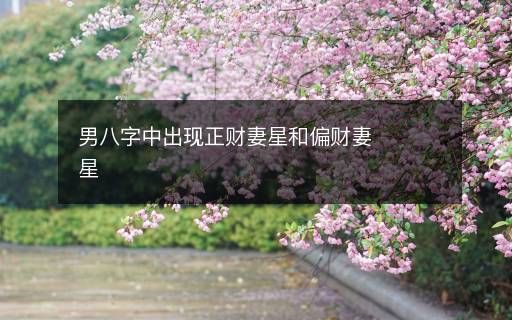 男八字中出现正财妻星和偏财妻星