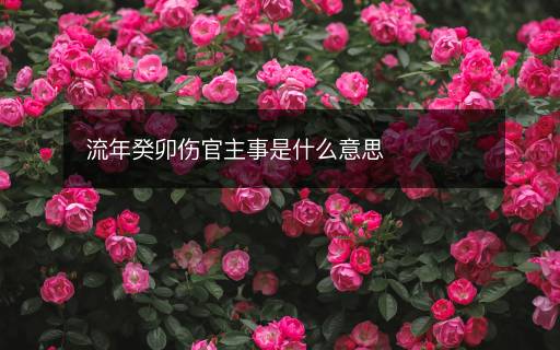 流年癸卯伤官主事是什么意思