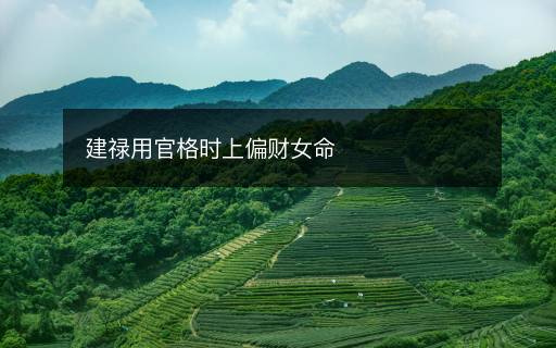 建禄用官格时上偏财女命