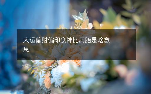大运偏财偏印食神比肩胎是啥意思