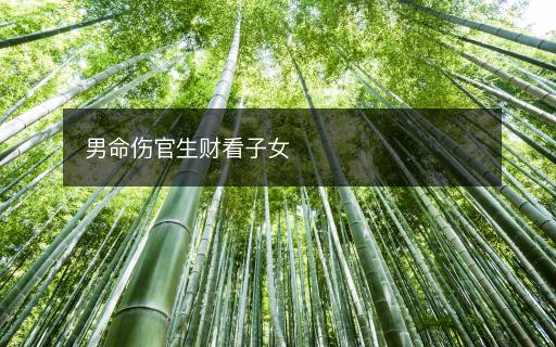 男命伤官生财看子女 男命伤官生财看子女