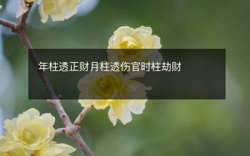年柱透正财月柱透伤官时柱劫财
