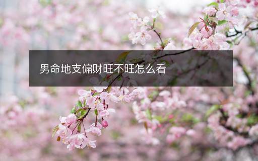 男命地支偏财旺不旺怎么看
