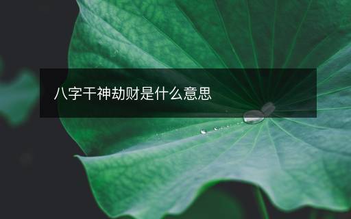 八字干神劫财是什么意思