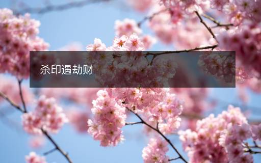 杀印遇劫财
