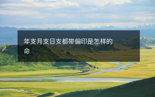 年支月支日支都带偏印是怎样的命