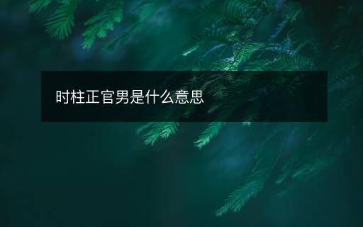时柱正官男是什么意思