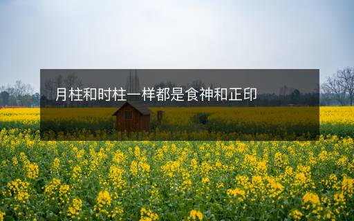 月柱和时柱一样都是食神和正印