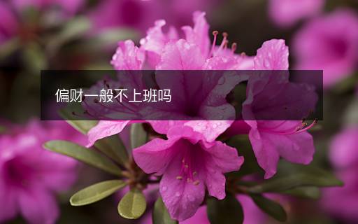偏财一般不上班吗