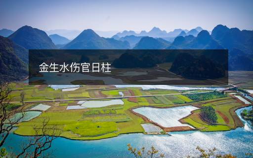 金生水伤官日柱