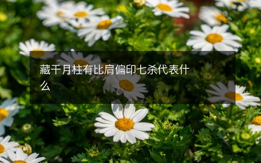 藏干月柱有比肩偏印七杀代表什么