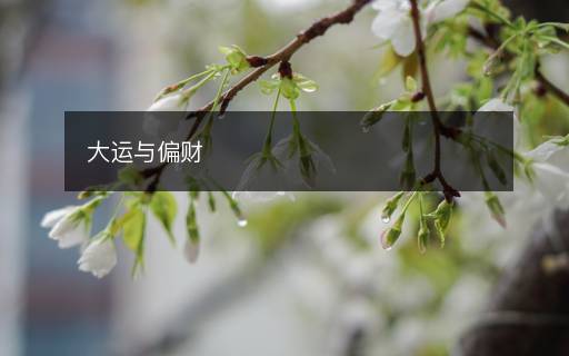 大运与偏财 大运与偏财