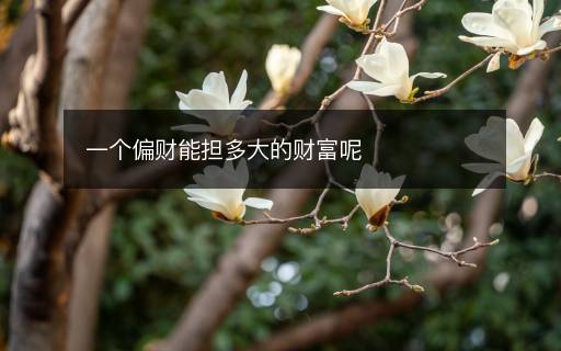 一个偏财能担多大的财富呢