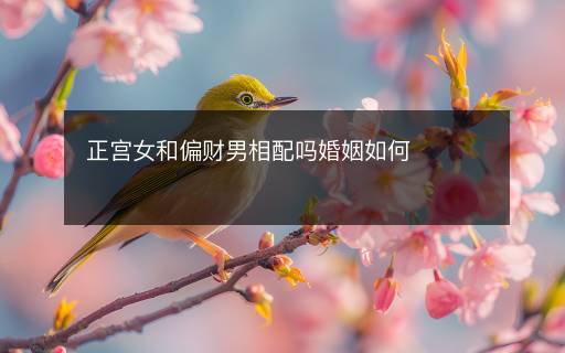 正宫女和偏财男相配吗婚姻如何