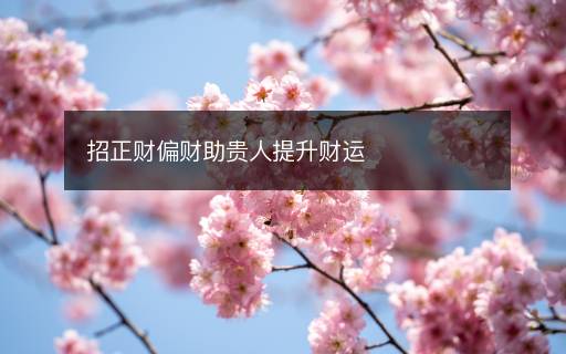 招正财偏财助贵人提升财运