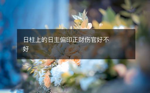 日柱上的日主偏印正财伤官好不好