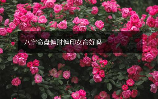 八字命盘偏财偏印女命好吗