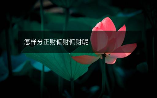 怎样分正财偏财偏财呢