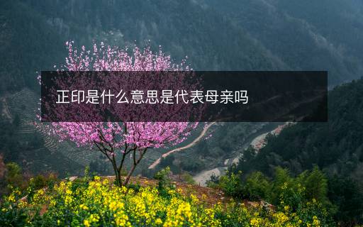 正印是什么意思是代表母亲吗