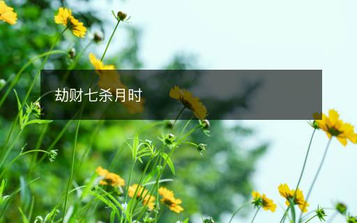 劫财七杀月时