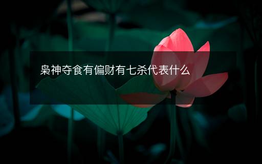 枭神夺食有偏财有七杀代表什么