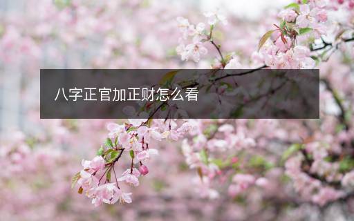 八字正官加正财怎么看