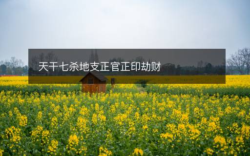 天干七杀地支正官正印劫财