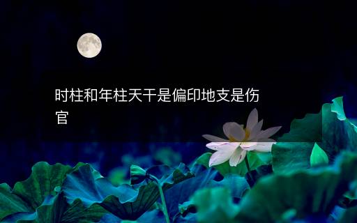 时柱和年柱天干是偏印地支是伤官