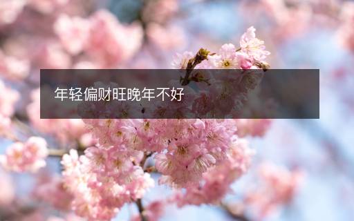 年轻偏财旺晚年不好