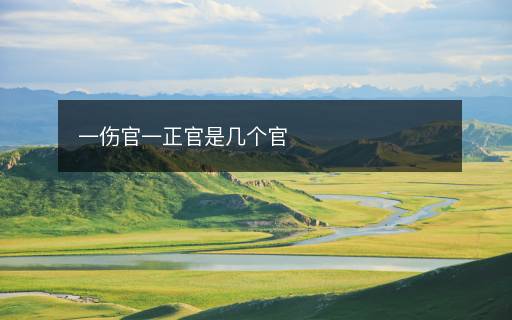 一伤官一正官是几个官