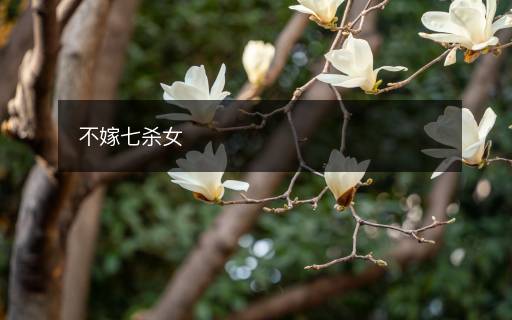 不嫁七杀女