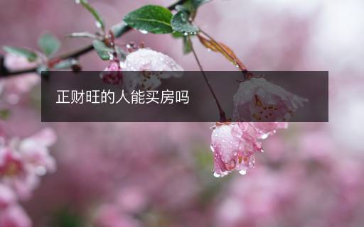 正财旺的人能买房吗