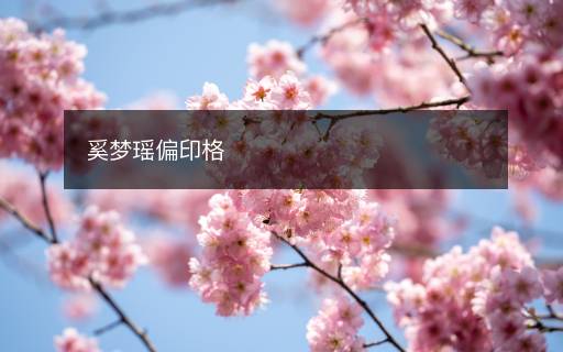 奚梦瑶偏印格