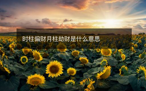 时柱偏财月柱劫财是什么意思