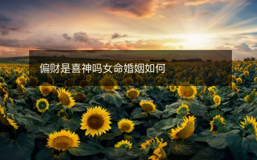 偏财是喜神吗女命婚姻如何