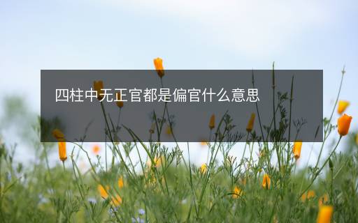 四柱中无正官都是偏官什么意思 四柱中无正官都是偏官什么意思
