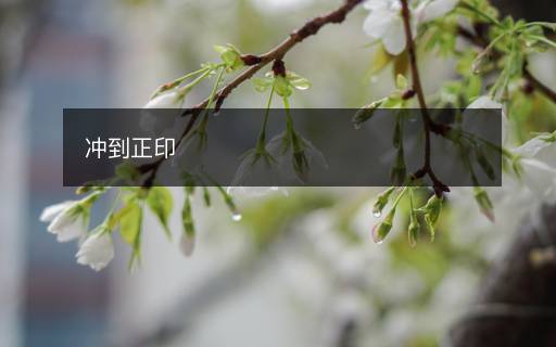 冲到正印