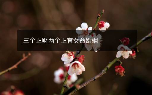三个正财两个正官女命婚姻
