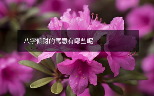 八字偏财的寓意有哪些呢