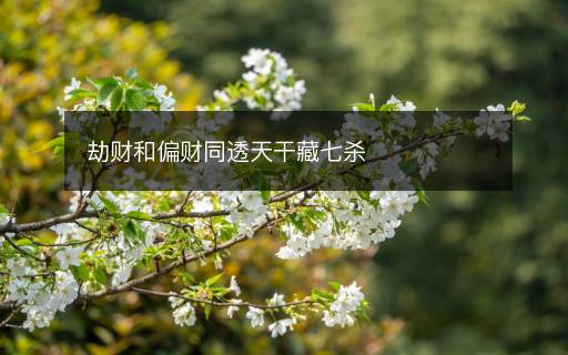 劫财和偏财同透天干藏七杀