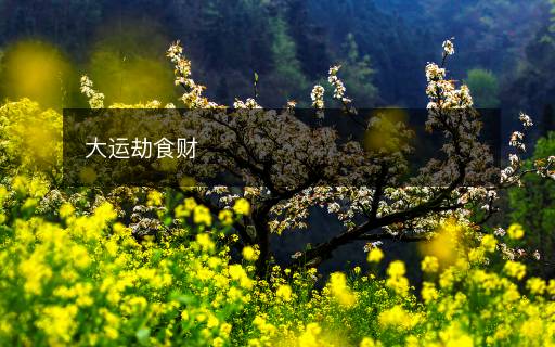 大运劫食财 大运劫食财