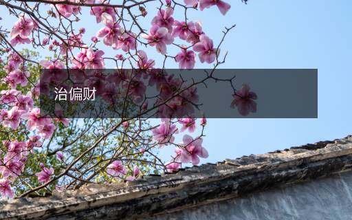 治偏财 治偏财