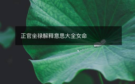 正官坐禄解释意思大全女命