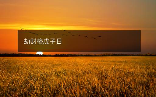 劫财格戊子日