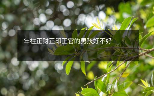 年柱正财正印正官的男孩好不好 年柱正财正印正官的男孩好不好