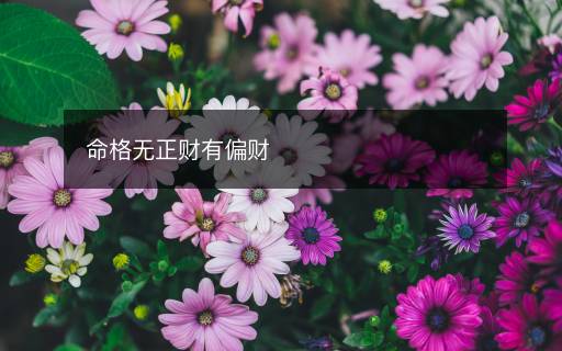 命格无正财有偏财