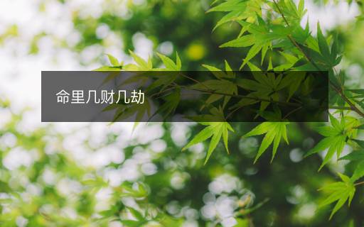 命里几财几劫
